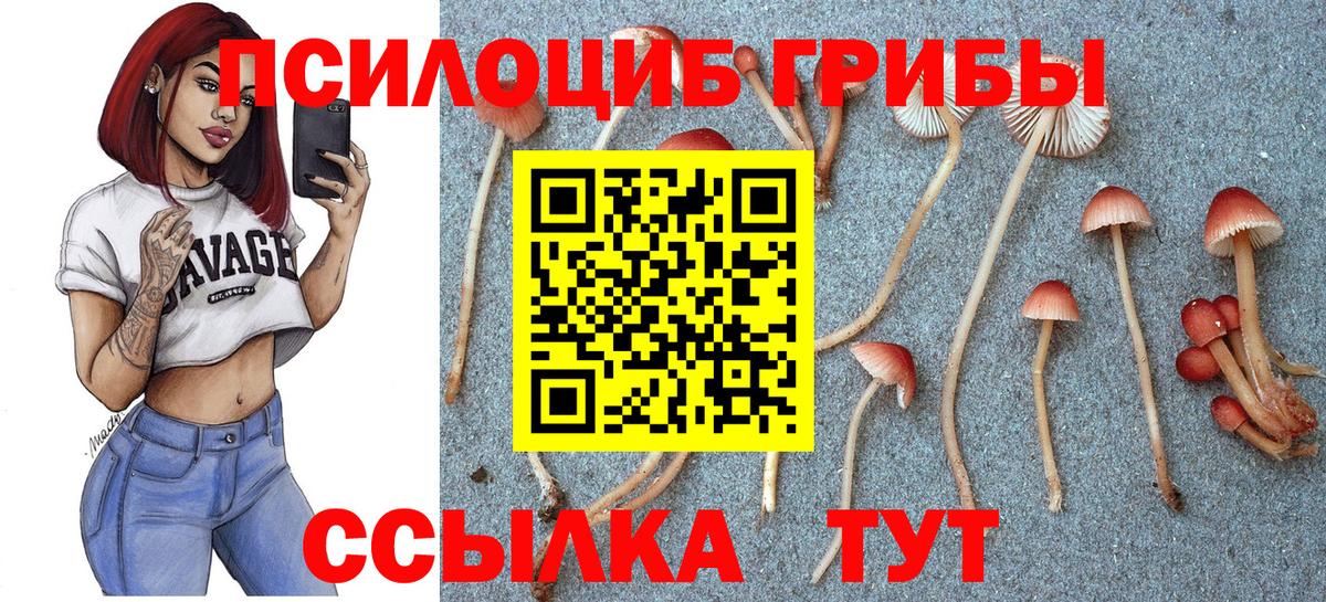 Смоленск  Галлюциногенные грибы мицелий  Псилоцибиновые грибы мухоморы  Вход с VPN 